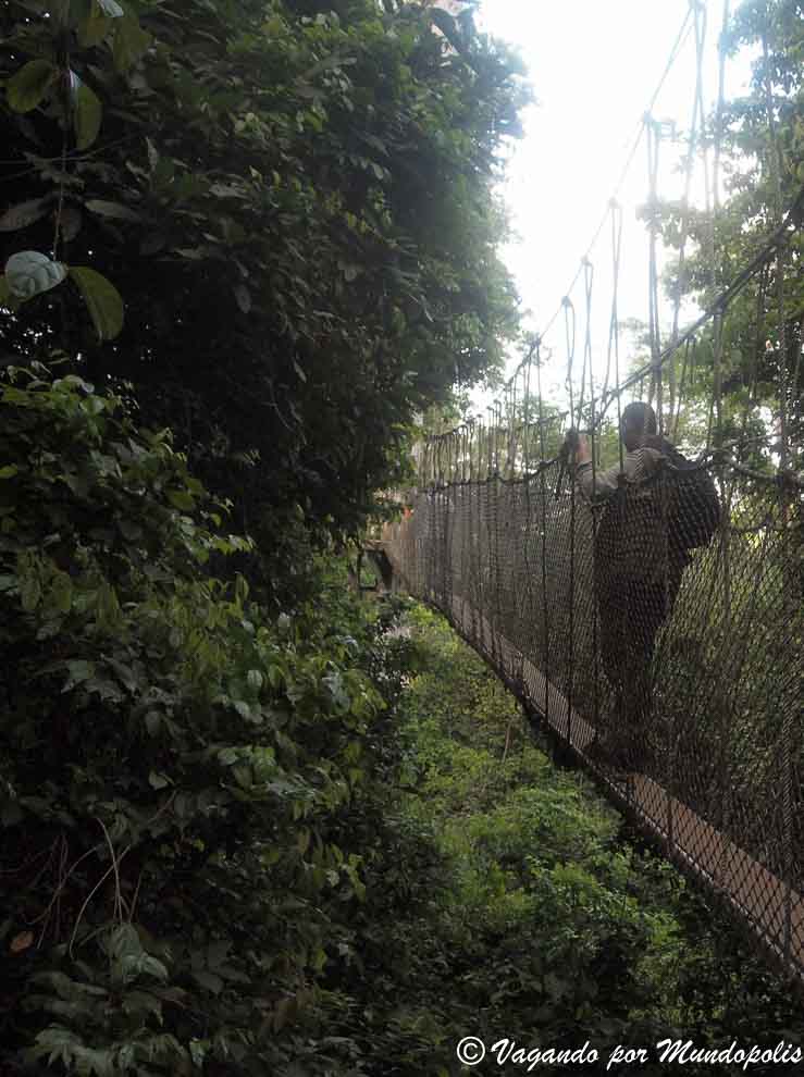 parque-nacional-kakum