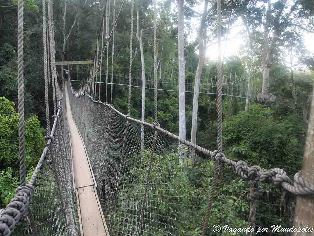 parque-nacional-kakum