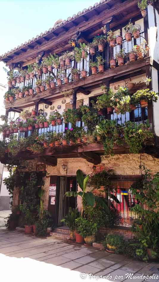 casa-flores-que-ver-candeleda