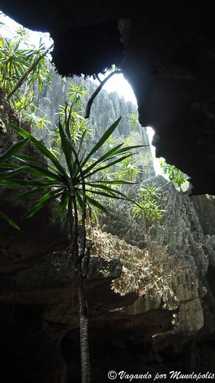 Tsingy-de-Bemahara