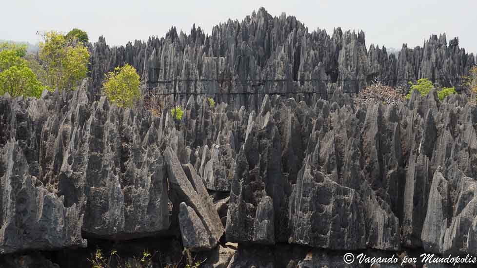 Tsingy-Bemahara