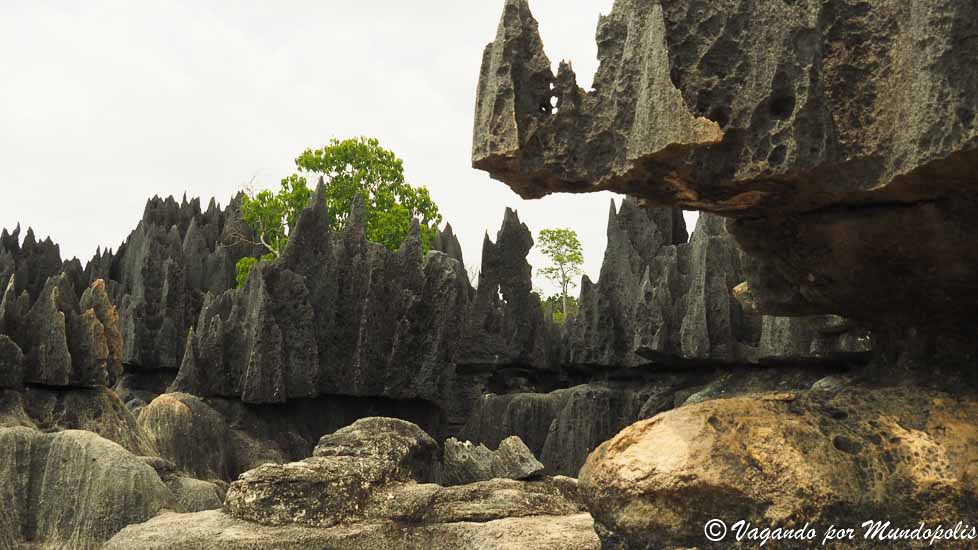 tsingys-madagascar