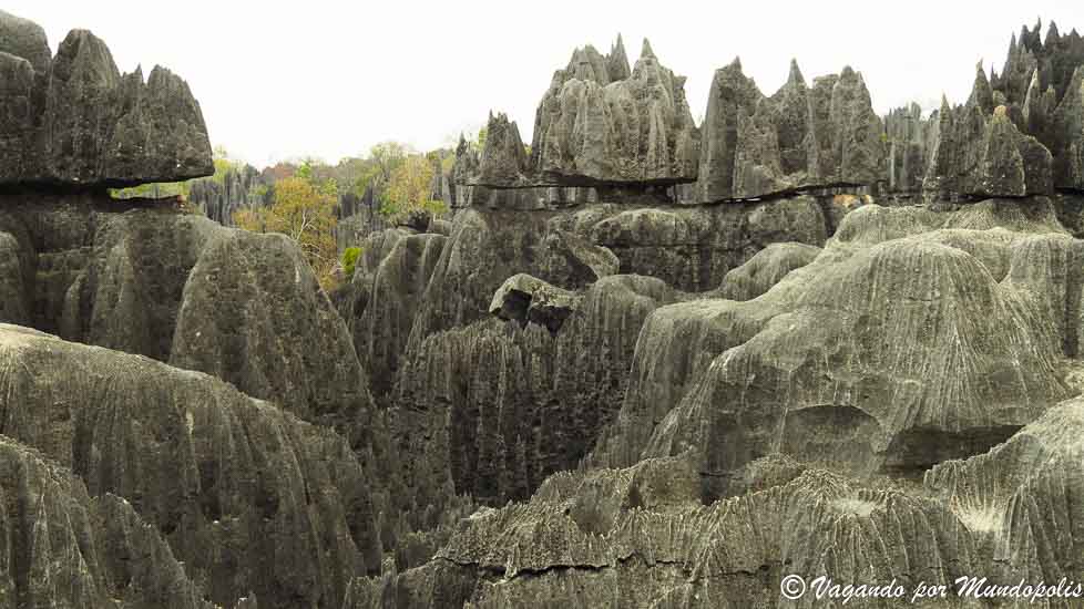 tsingys-madagascar