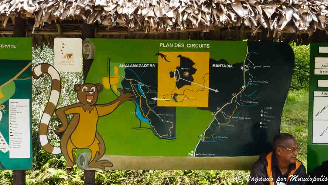 parque-andasibe-reserva-analamazaotra-madagascar