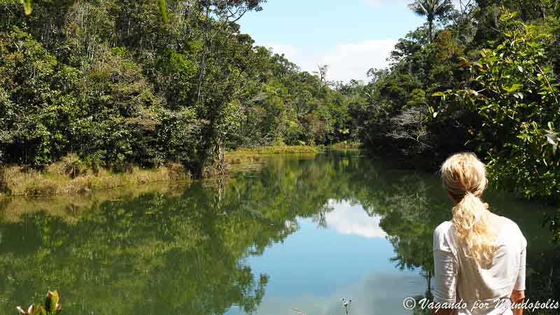 parque-andasibe-reserva-analamazaotra