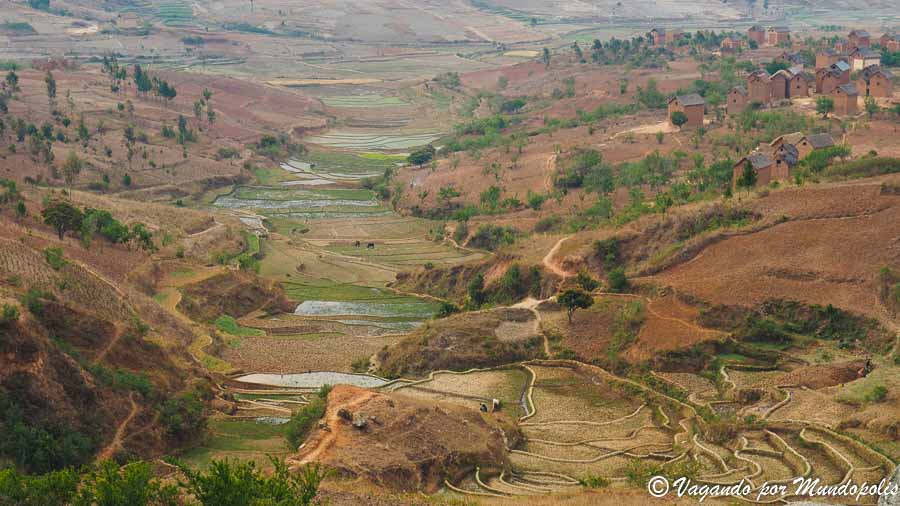 centro-madagascar
