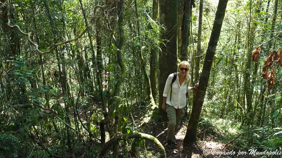 parque-nacional-ranomafana-madagascar
