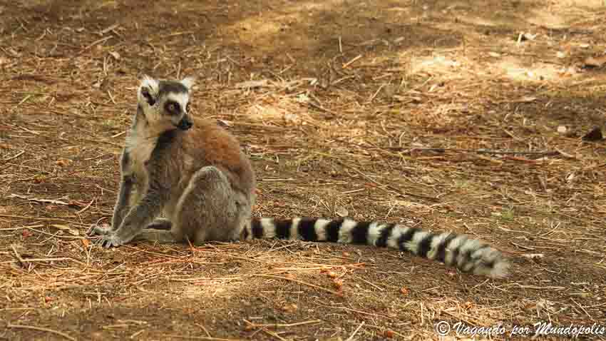 reserva-de-anja