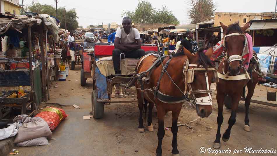 Keur-Momar-Sarr