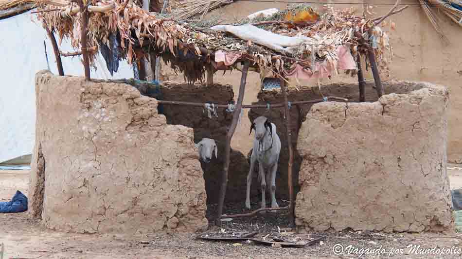 aldea-toucouleur-senegal