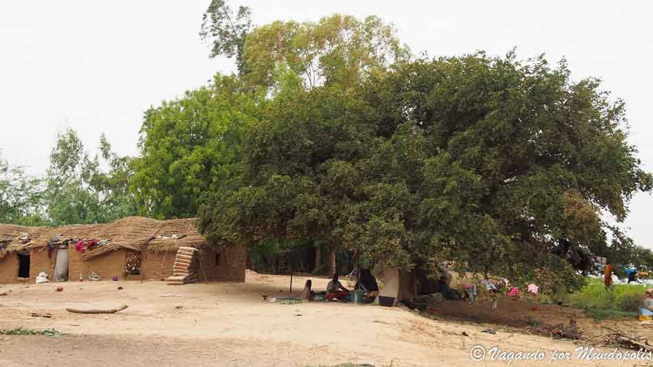 aldea-toucouleur-senegal