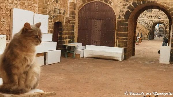 que-ver-costa-marruecos-essaouira