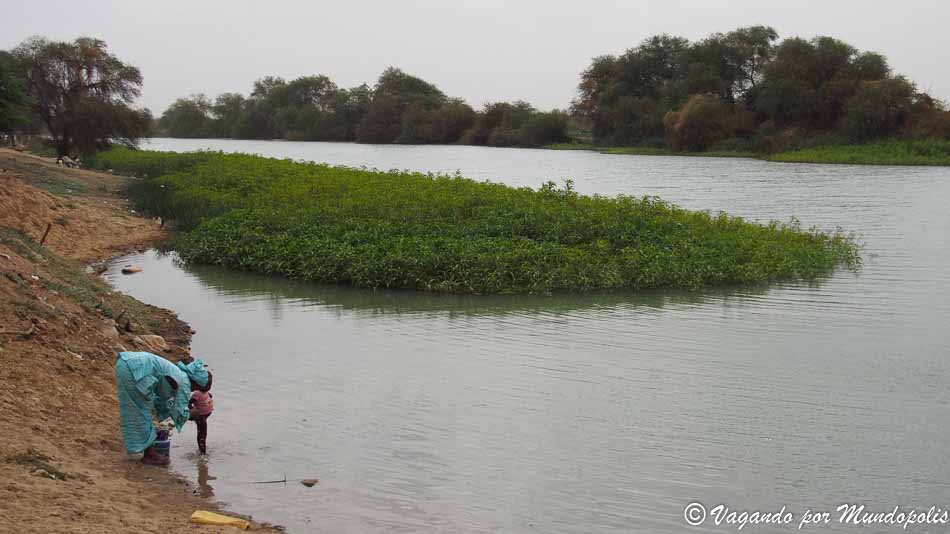 lago-guiers-senegal