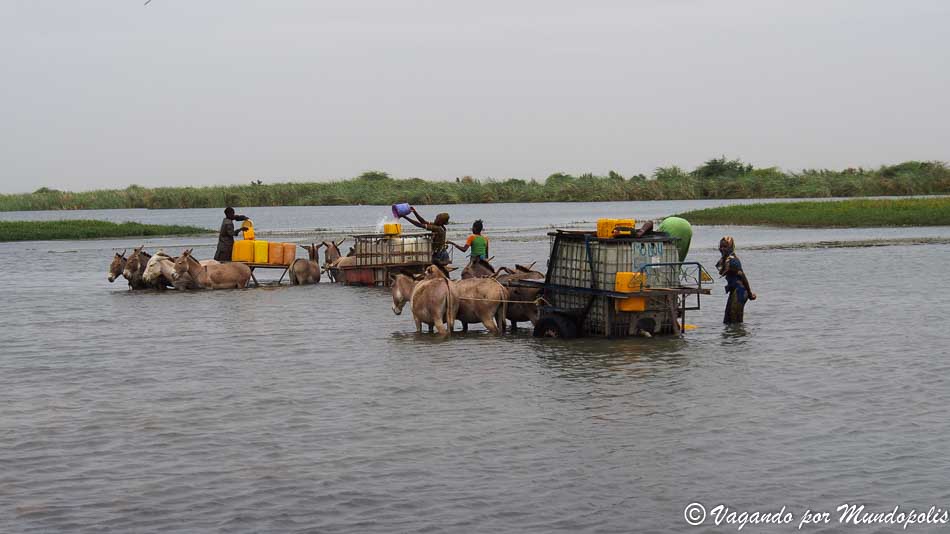 lago-guiers-senegal