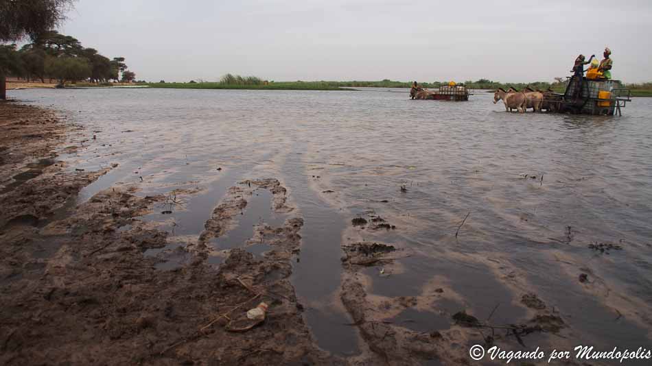 lago-guiers-senegal