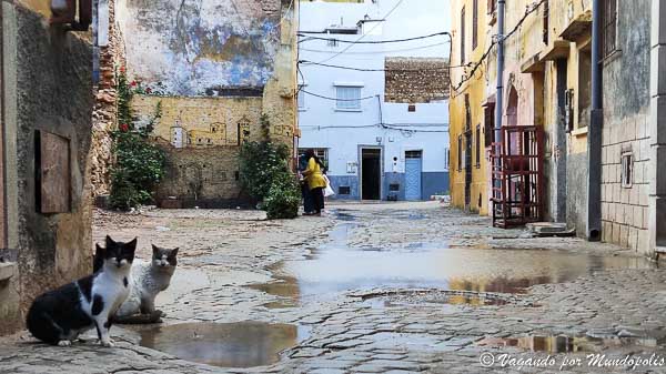 marruecos-atlantico-el-jadida