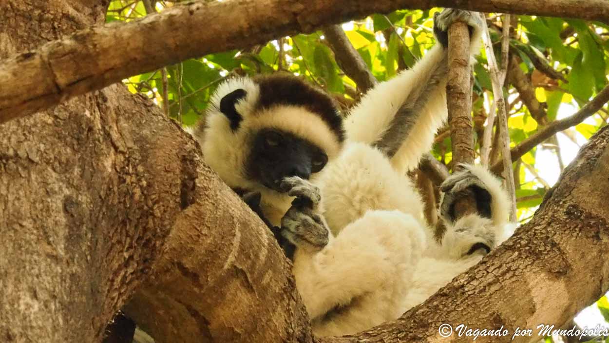 parque-nacional-isalo-madagascar