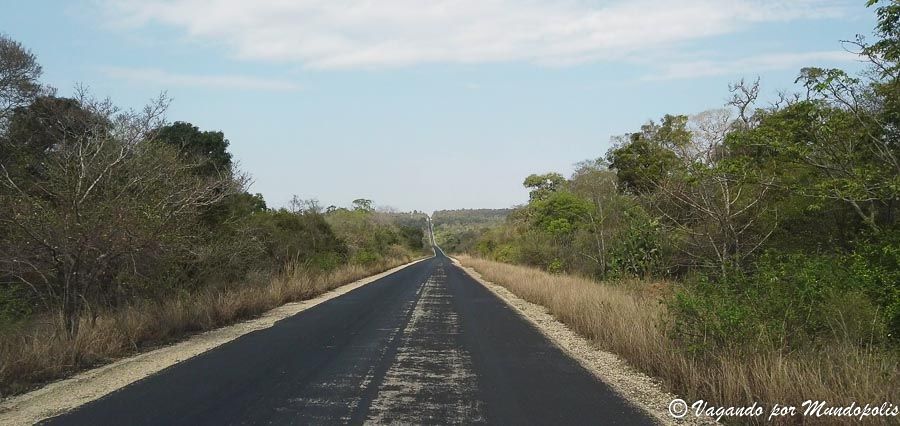 Parque-Nacional-Zombitse-Vohibasia